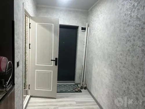 Toshkent shahar, Olmazor, qora qamish