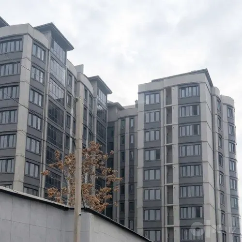Toshkent shahar, Mirzo Ulug'bek
