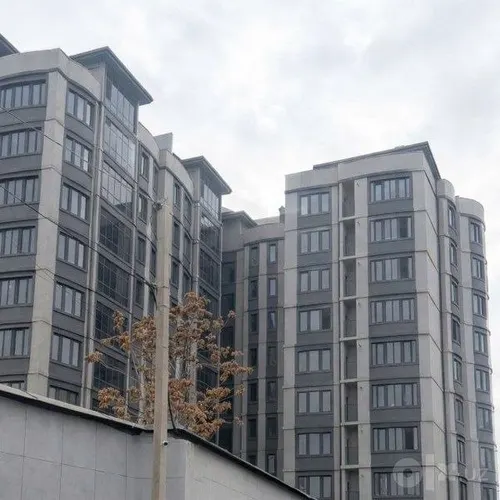 Toshkent shahar, Mirzo Ulug'bek
