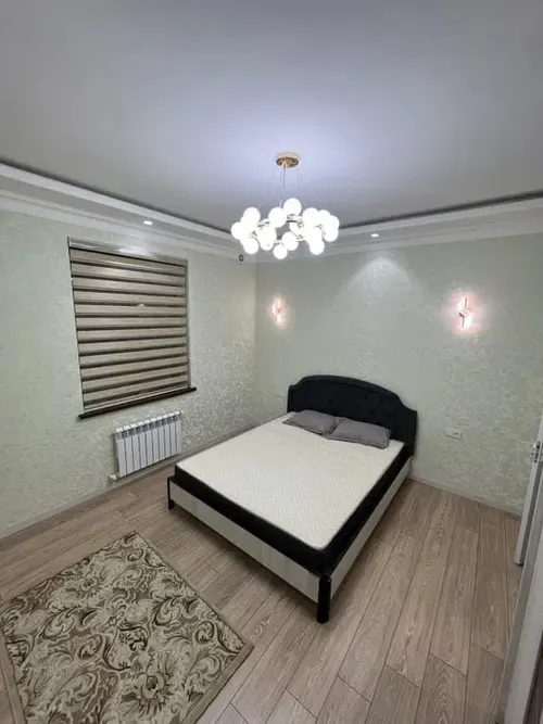 Toshkent shahar, Mirzo Ulug'bek