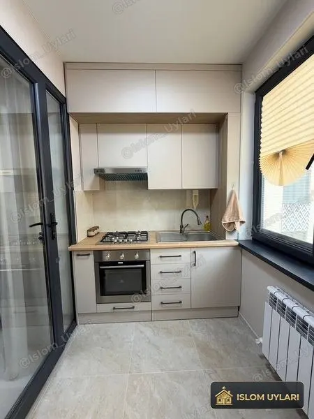 Toshkent shahar, Mirzo Ulug'bek