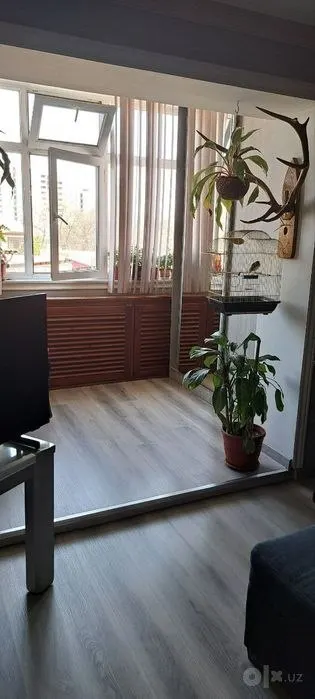 Toshkent shahar, Mirzo Ulug'bek